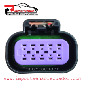 CONECTOR 10 PINES CUERPO DE ACELERACION CHEVROLET VARIOS Código: SOQ150